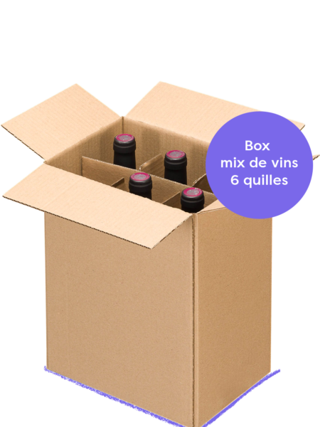 boxe découverte 6 bouteilles de vins naturels mélange rouge, blanc, orange, bulle